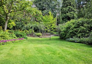 Optimiser l'expérience du jardin à Doulevant-le-Petit